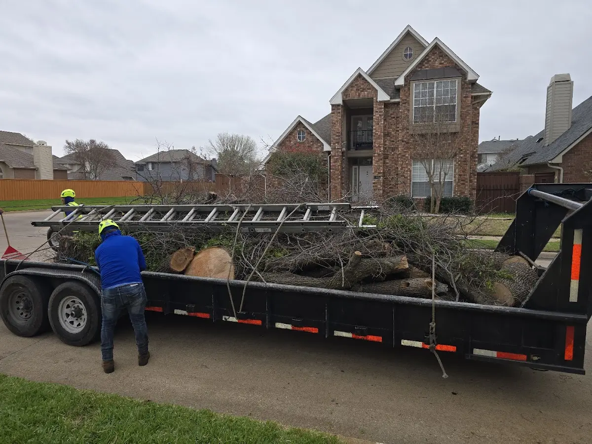 Expert Tree Removal with proper safety equipment in Naylor